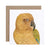 four square white greeting cards with new zealand animals kea parrot kereru tuatara kiwi watercolour artwork and recycled kraft envelope