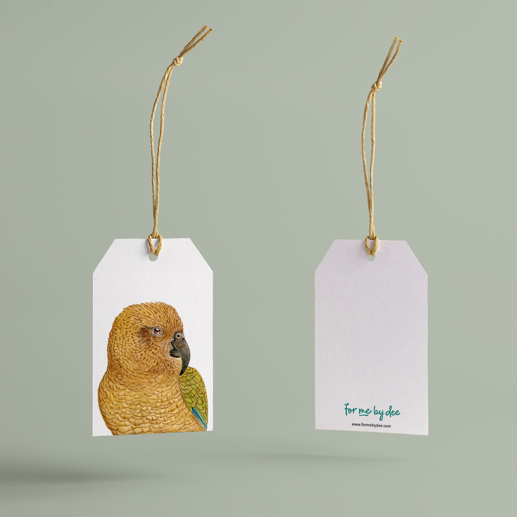 kea parrot new zealand bird painted on gift tag with twine string on green background