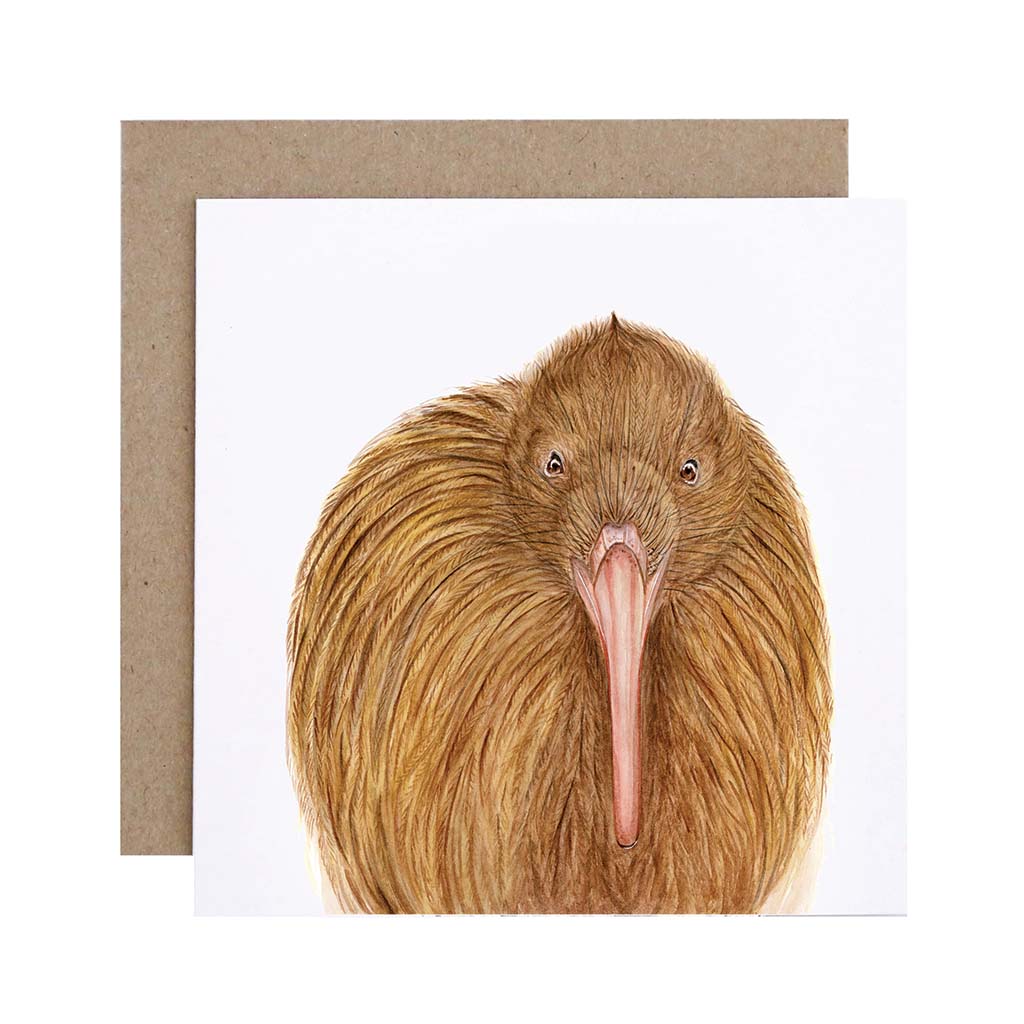 Square white greeting card with new zealand kiwi bird watercolour artwork and recycled kraft envelope