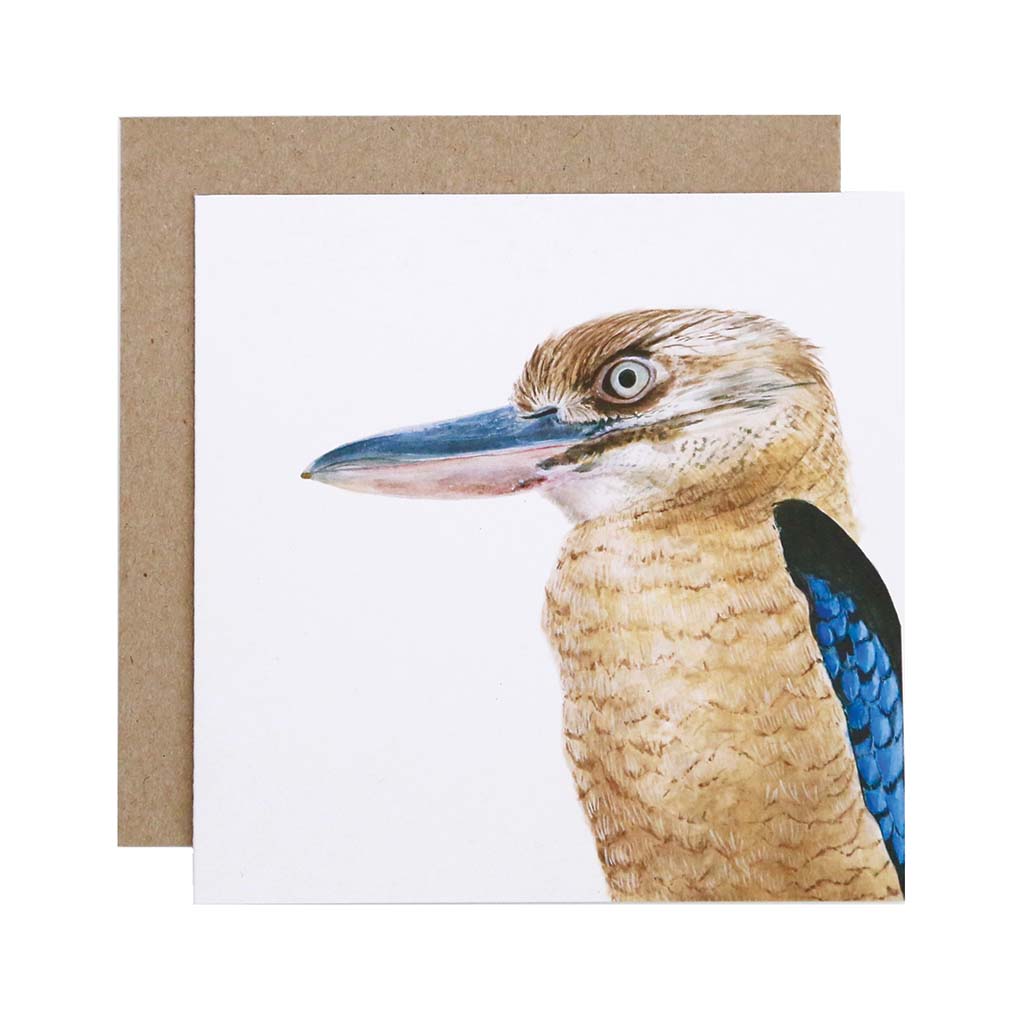 Square white greeting card with kookaburra watercolour artwork and recycled kraft envelope