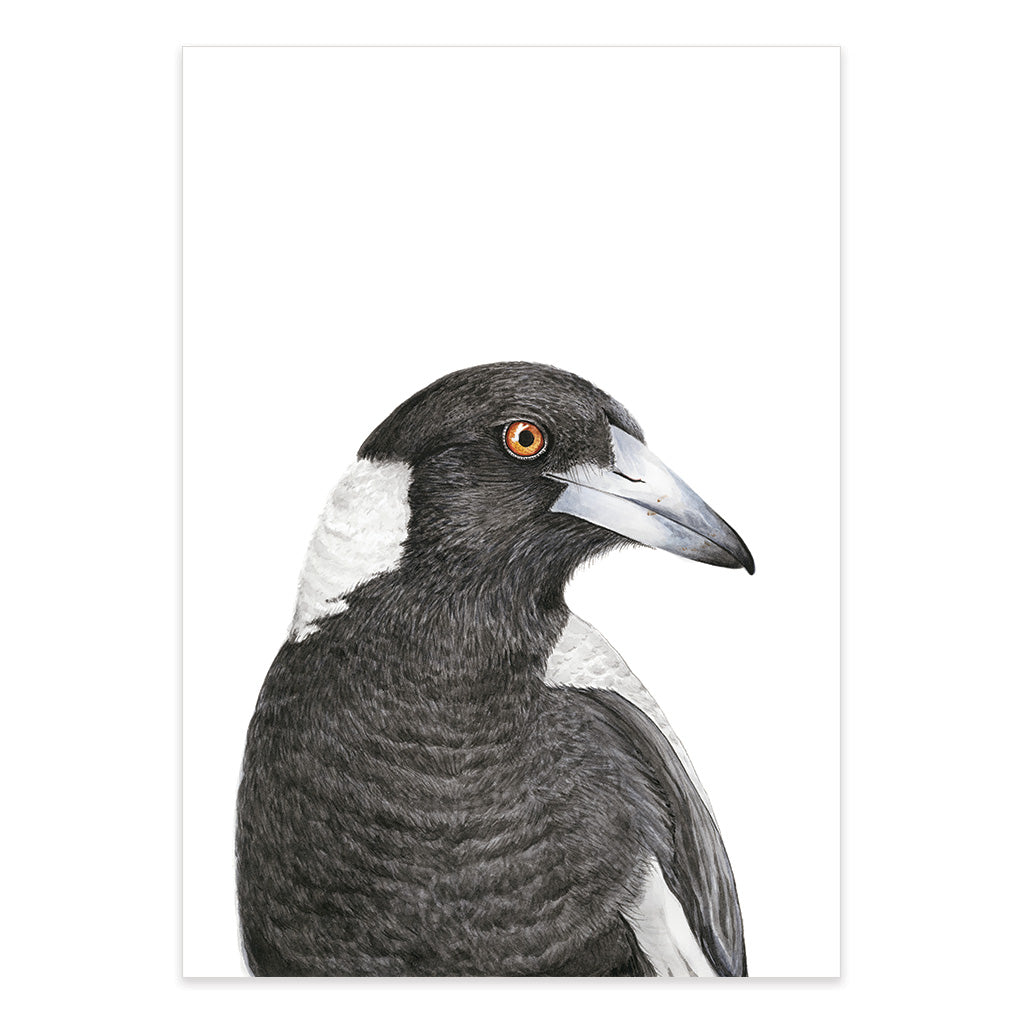 magpie watercolour artwork print