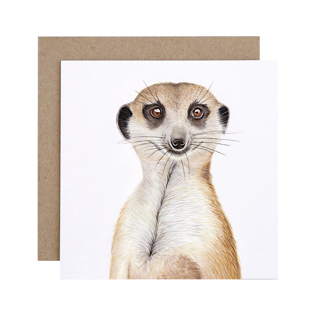 Marvin the Meerkat Greeting Card