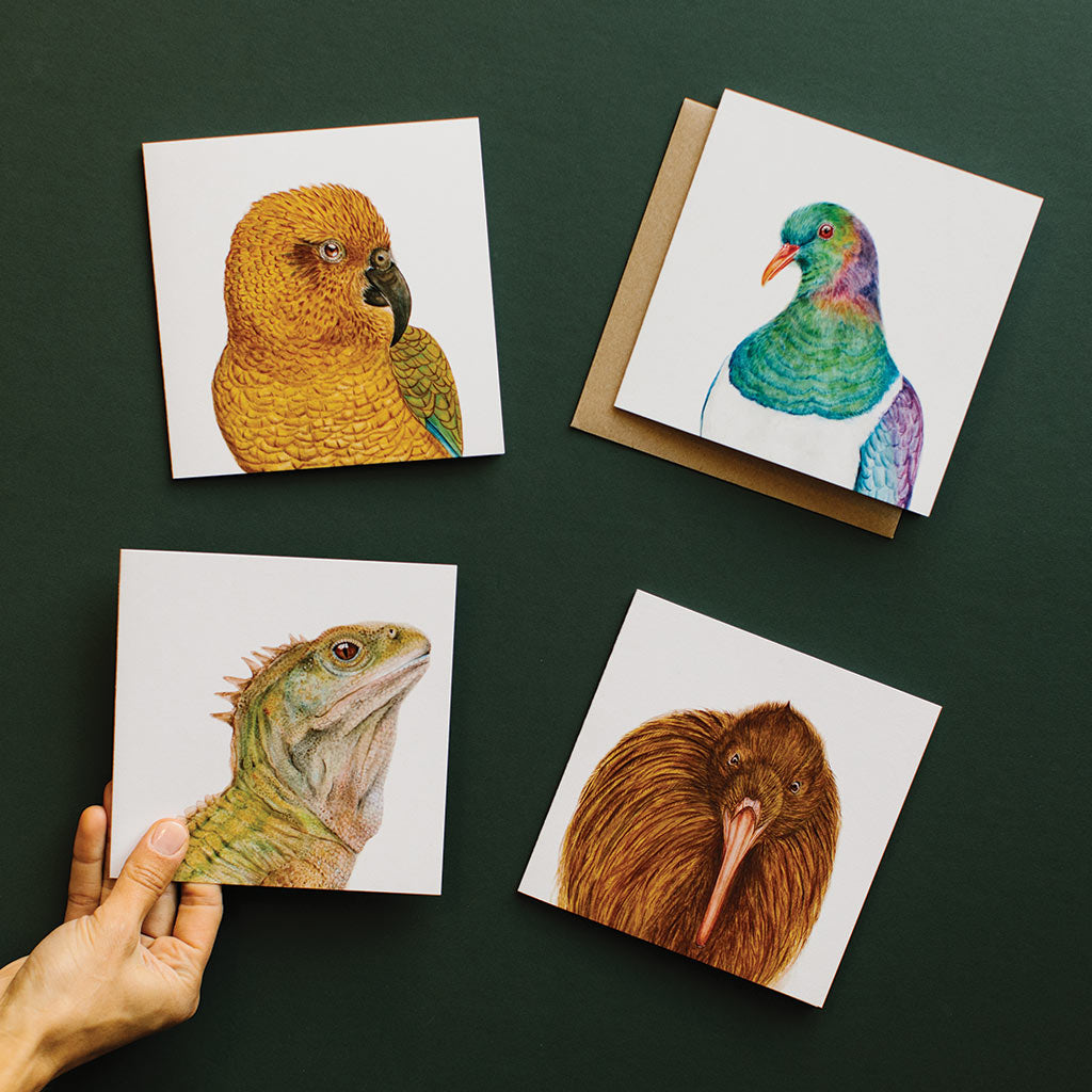 four square white greeting cards with new zealand animals kea parrot kereru tuatara kiwi watercolour artwork and recycled kraft envelope