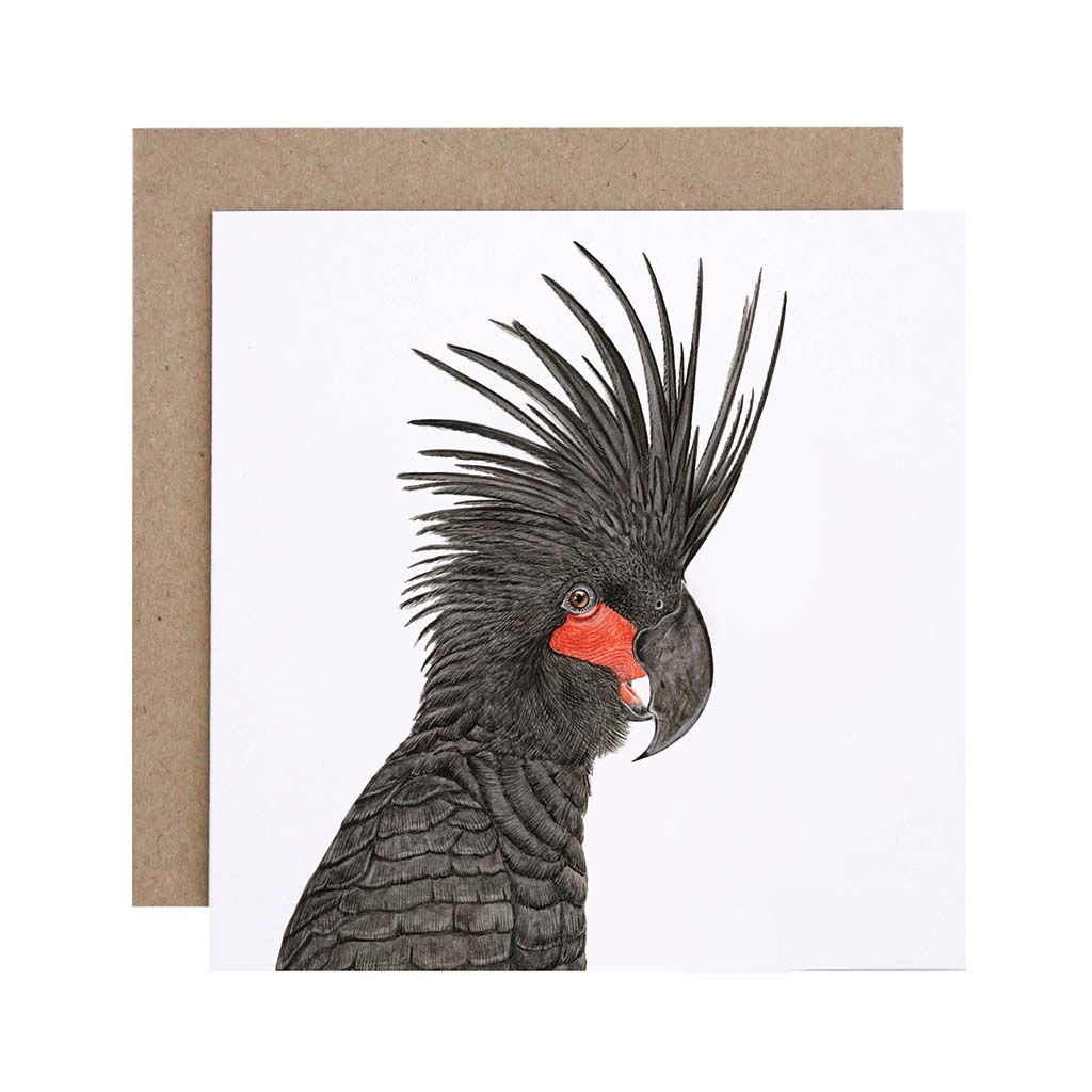 Square white greeting card with palm cockatoo watercolour artwork and recycled kraft envelope