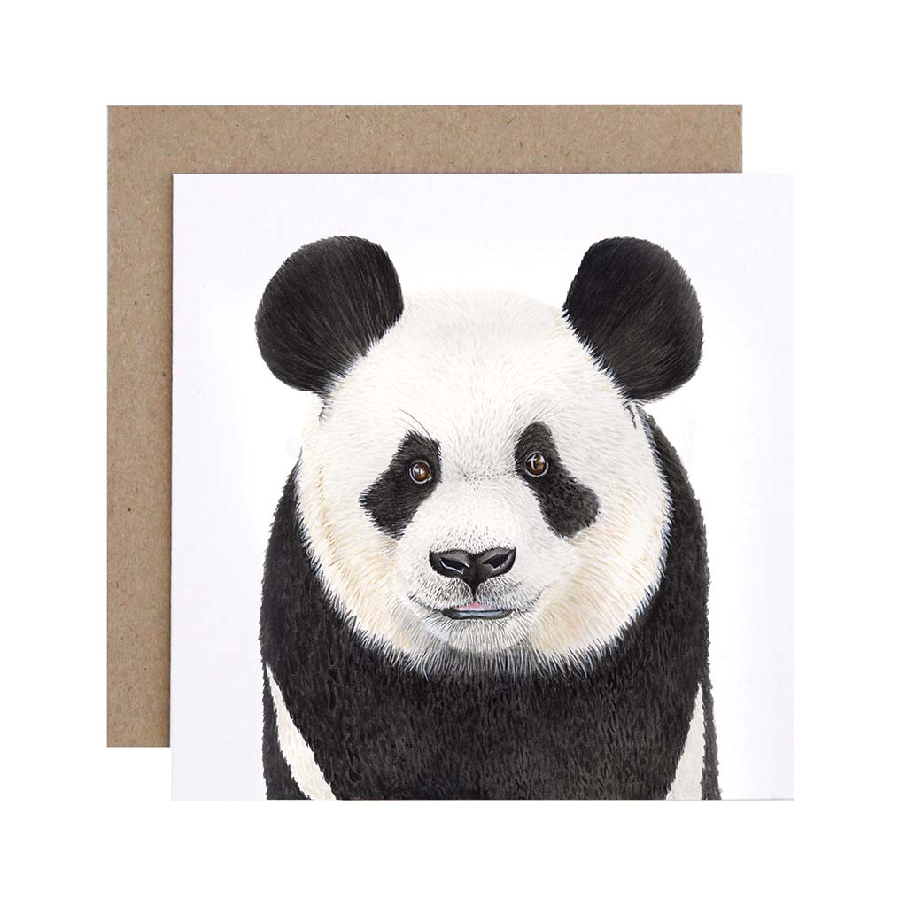 Square white greeting card with panda watercolour artwork and recycled kraft envelope