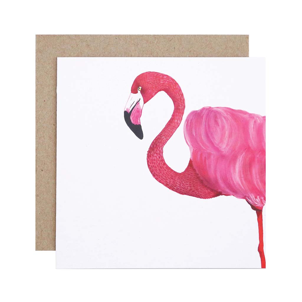 four square white greeting cards with safari wild animals flamingo camel macaw leopard watercolour artwork and recycled kraft envelope