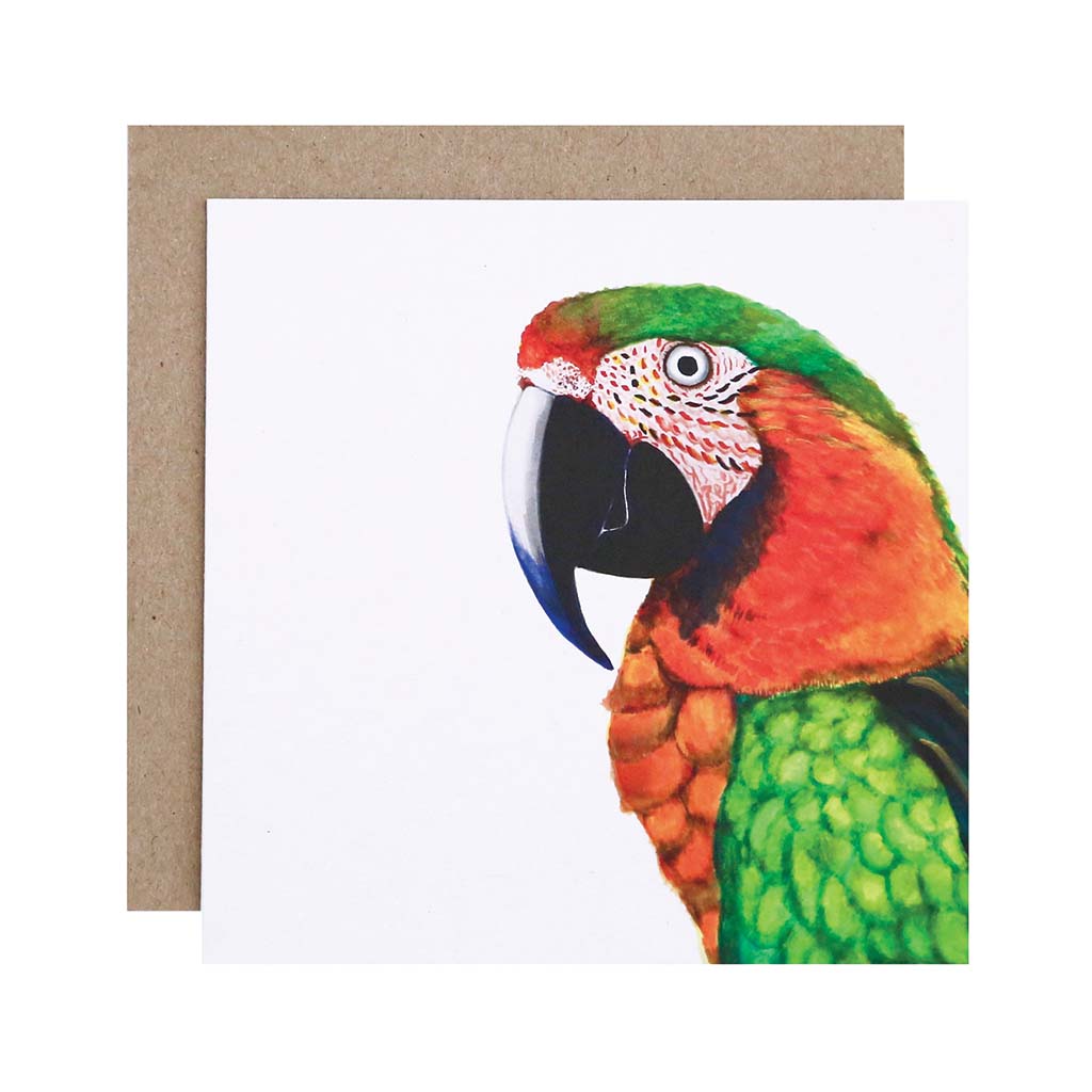 Square white greeting card with macaw watercolour illustration and recycled kraft envelope