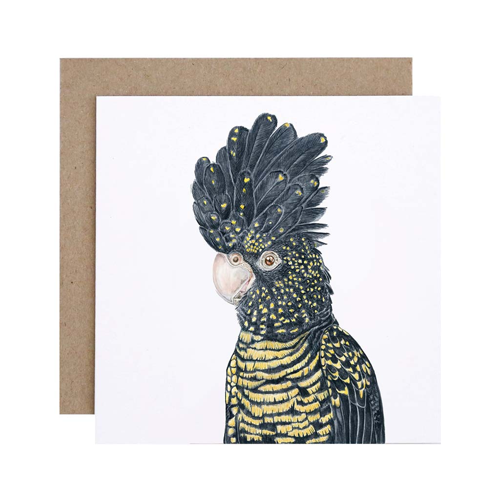 Square white greeting card with red-tailed black cockatoo watercolour illustration and recycled kraft envelope