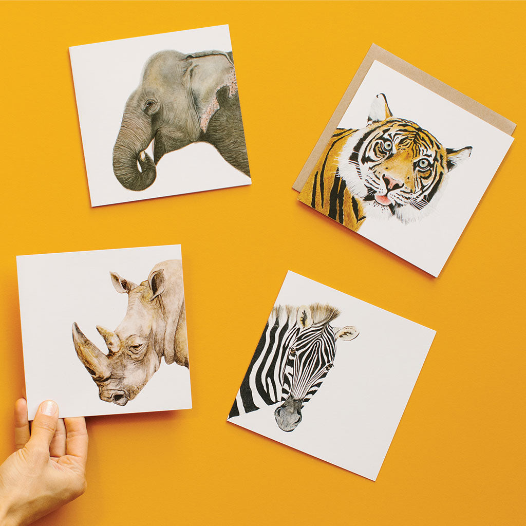 four square white greeting cards with safari zoo animals elephant tiger rhinoceros zebra watercolour artwork and recycled kraft envelope