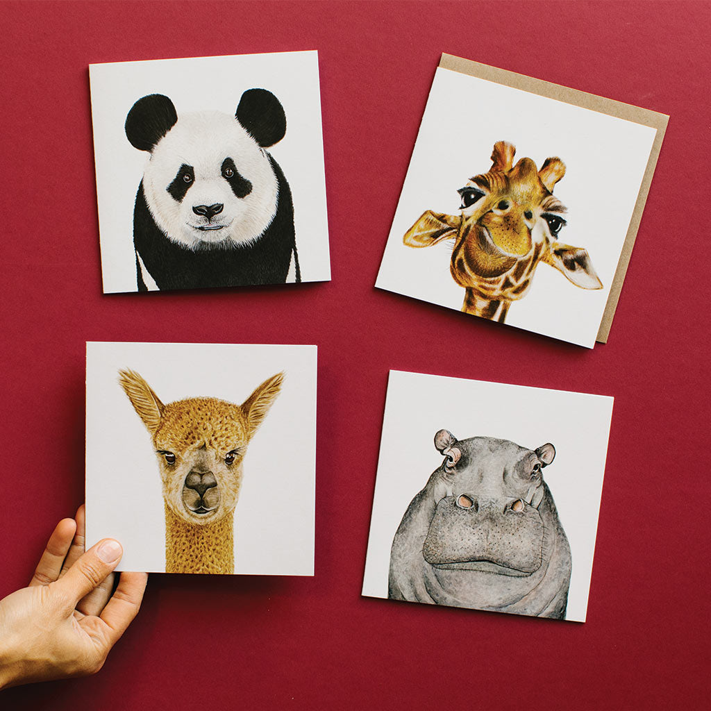 four square white greeting cards with safari zoo animals panda giraffe alpaca hippopotamus watercolour artwork and recycled kraft envelope