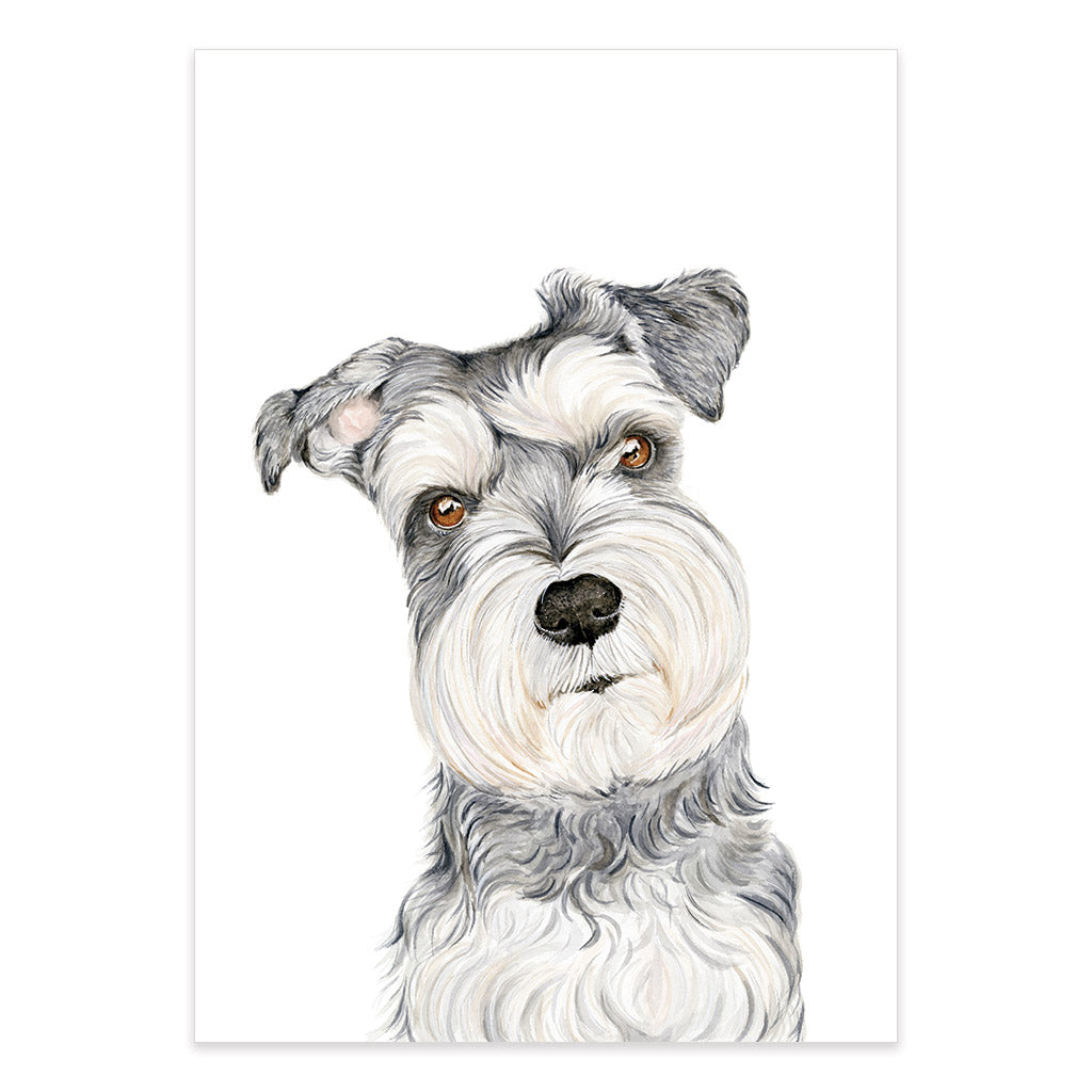 salt and pepper schnauzer dog watercolour artwork print
