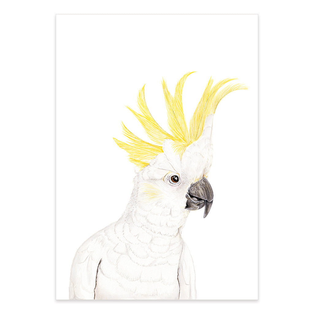 sulphur crested cockatoo watercolour artwork print