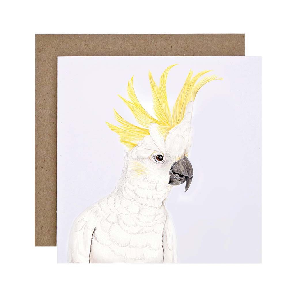 Square white greeting card with sulphur-crested cockatoo watercolour illustration and recycled kraft envelope