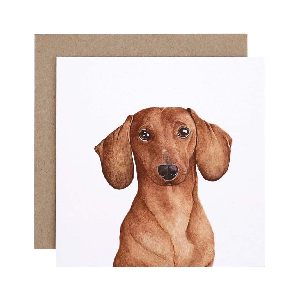 Square white greeting card with tan dachshund sausage dog watercolour illustration and recycled kraft envelope