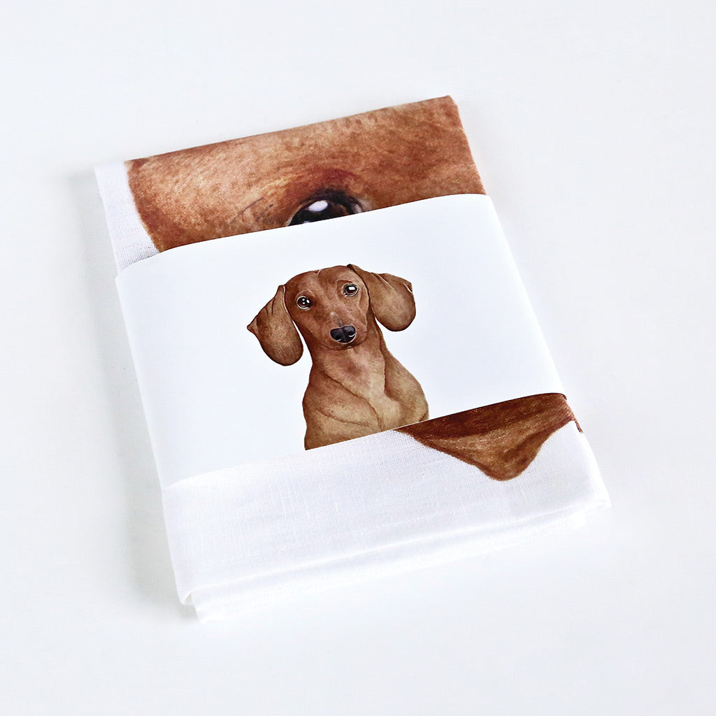 white linen tea towel with tan dachshund watercolour artwork