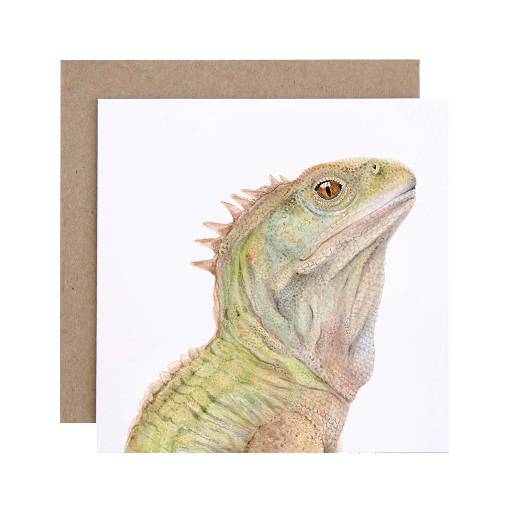 Square white greeting card with tuatara new zealand lizard watercolour artwork and recycled kraft envelope