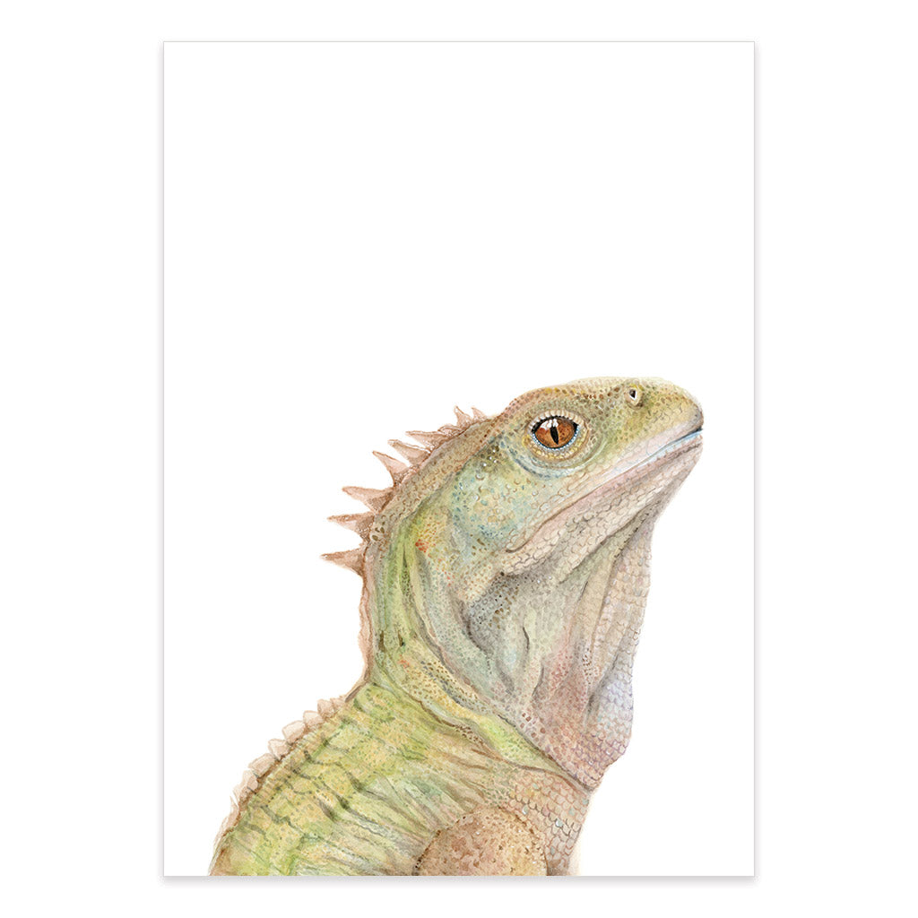 tuatara new zealand llizard watercolour artwork print