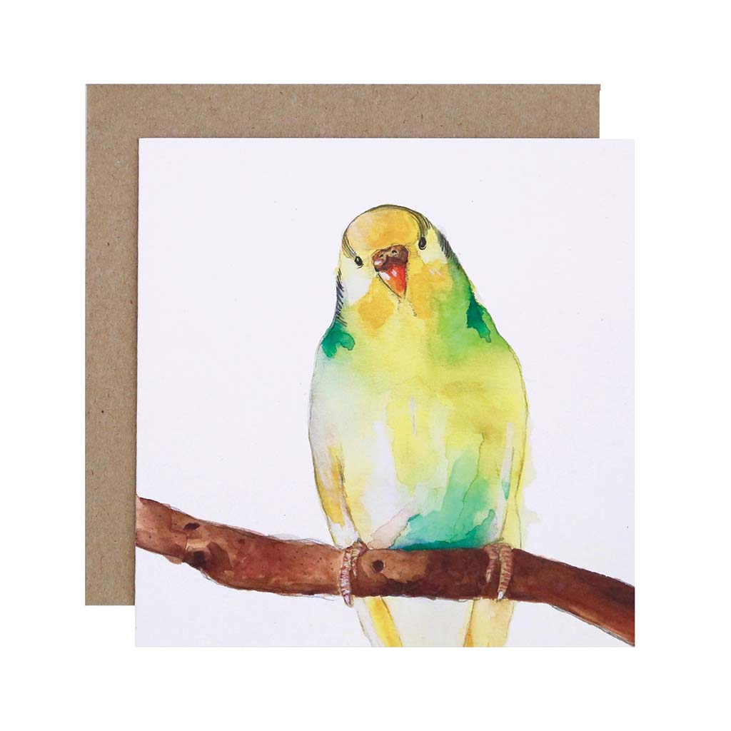 Square white greeting card with yellow and green budgie on branch watercolour illustration and recycled kraft envelope